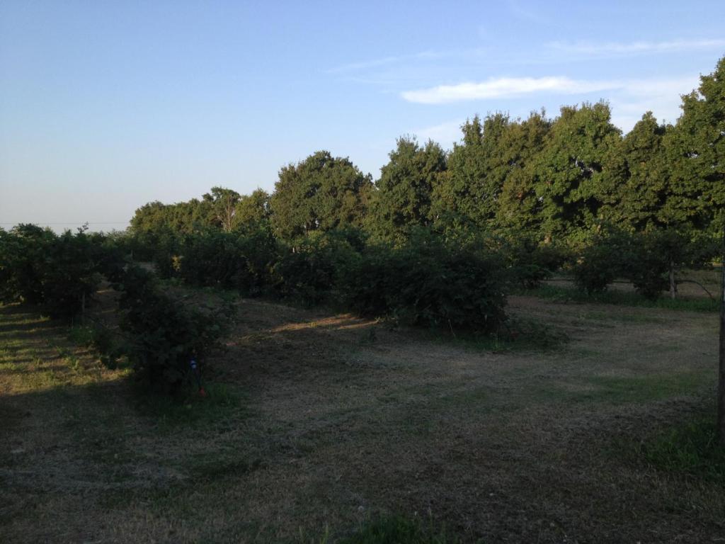 Villa Agriturismo La Dondina Budrio  Exterior foto